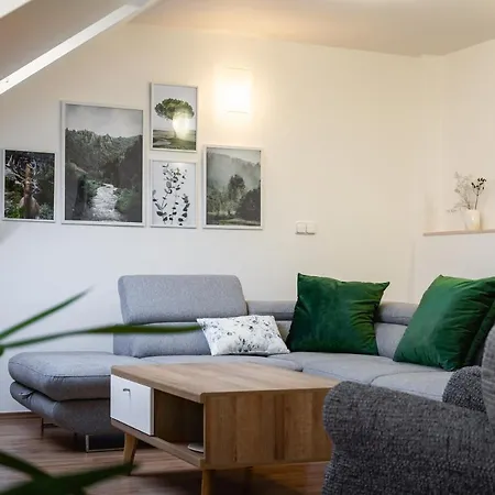 Apartment Fryda Luhacovice